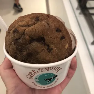 Peanut Butter Chocolate Chip Cookie SANDWICH with Chocolate ice cream