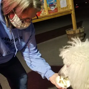 &quot;Grizz&quot; sundae for dogs--vanilla ice cream with bone treats on top.