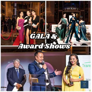 VNARP Gala &amp; Award Show in San Francisco, Ca.

Services: Event Director, Corporate Planner