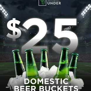 $25 domestic beer buckets, every day! Grab a seat in front of our media wall.