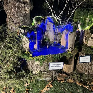 A magical gnome house.