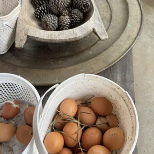Get fresh eggs!