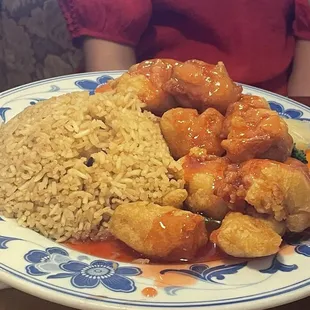 Sweet and Sour Chicken