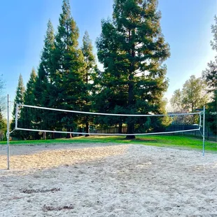 Beach Volleyball Court!