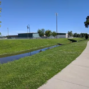 Walking trail behind the Y