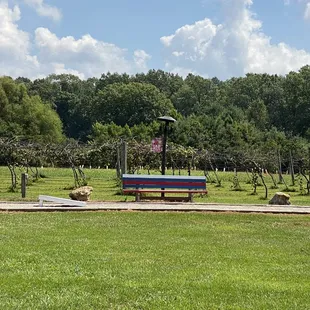 a park bench in the foreground