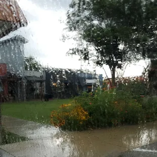 Can't wait to dash in for another!