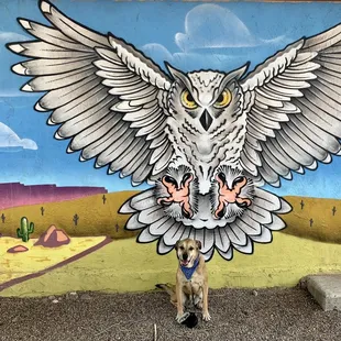 Great burgers!  Great mural!  Outdoor seating , too.