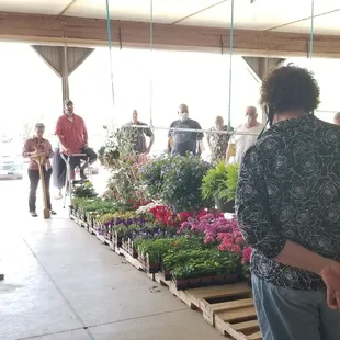 Flowers, vegetable plants, some baked goods, strawberries,  rhubarb, even chicken manure sold at auction