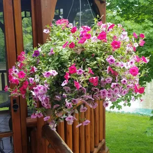 Poor hubby, I am making him move this higher.