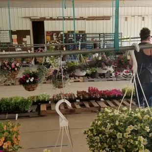 Waiting to bid.  Easy and I am not an auction person