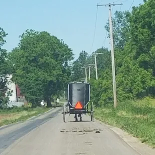 On our way home from the auction.  Be courteous.  While horses are used to cars, be polite and slow down when passing