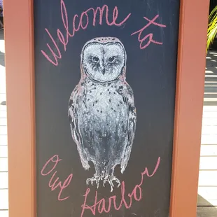 Owl Harbor