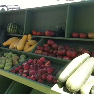 Fruits of labor from the gardners - all complimentary and available on the market cart.