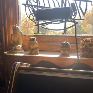 Owls on the windowsill