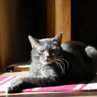Grady B.