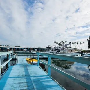 Photo taken by Skyler Stanley http://www.skylerstanley.com/