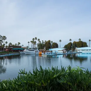 Photo taken by Skyler Stanley http://www.skylerstanley.com/