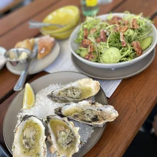 Hog island's bagna cauda oysters and chopped salad.
