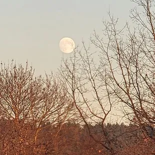 Moon rise