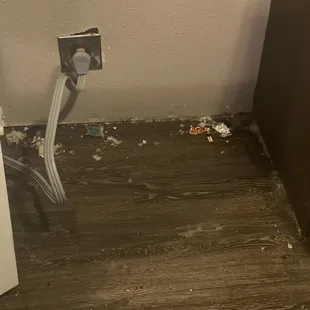 Mold, trash and mice poop.