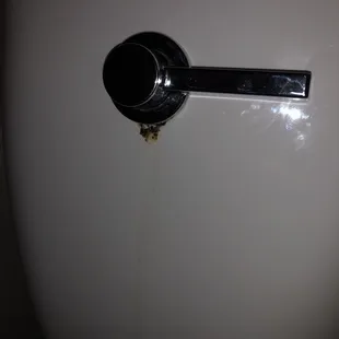 Leaking toilet