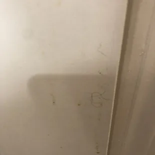 Dirt and or fences and urine all over bathroom door
