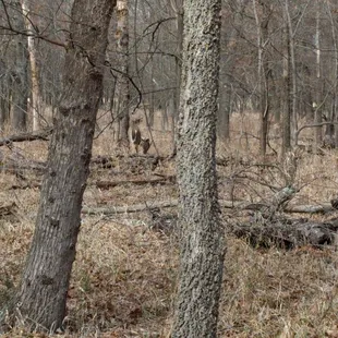 Oxley Nature Center