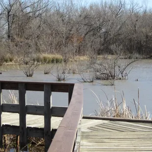 Very nice decking on trails in marsh area