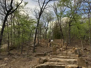 Turkey Mountain Wilderness Area
