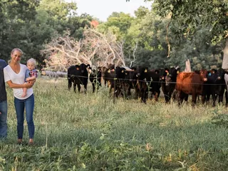 Wanda Farms
