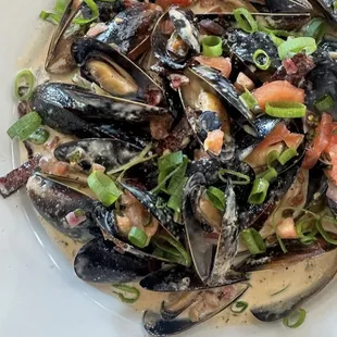shellfish, food, oysters, mussels, oysters and mussels