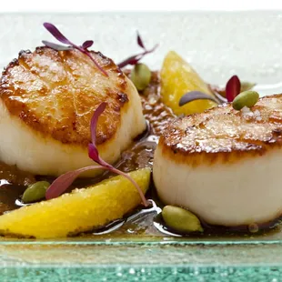 Scallops