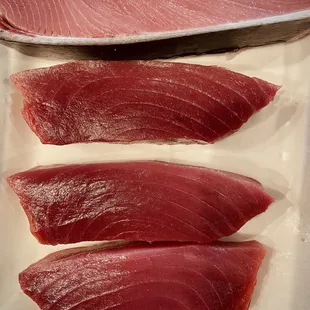 bluefin tuna