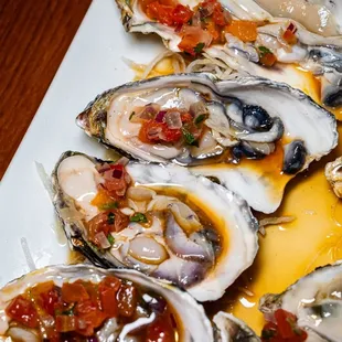 oysters, food, shellfish, oysters and mussels, mussels