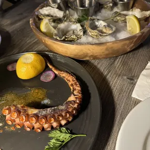 Octopus and oysters