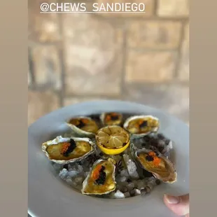 mussels, food, oysters and mussels, oysters, shellfish