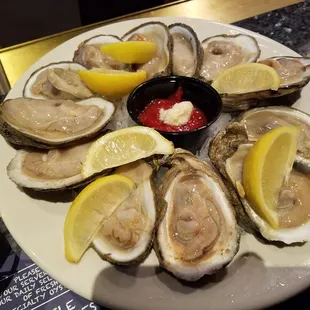 oysters, mussels, food, shellfish, oysters and mussels