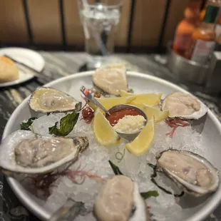 Half dozen raw oysters