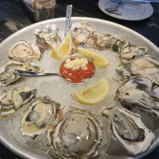 Kumamoto Oysters