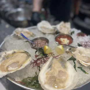 food, shellfish, oysters, oysters and mussels, mussels
