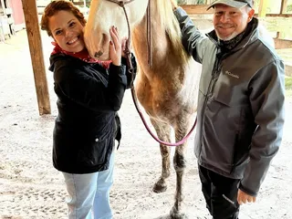 Happy Trails Walking Horses