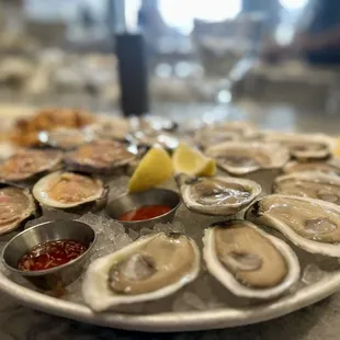 Clams and Oysters