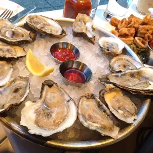 Buck a Shuck Oysters