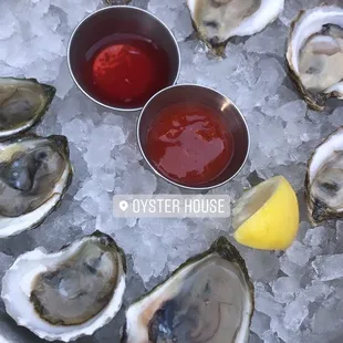 Raw Oysters