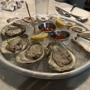 Fresh Oysters