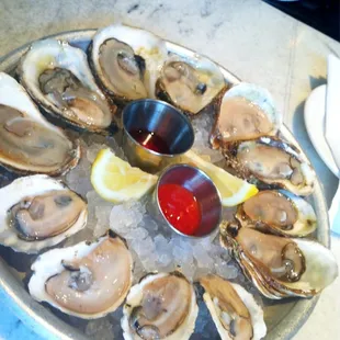 Mixed East Coast Oysters