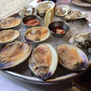 James River Oysters