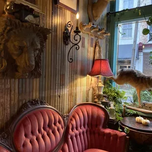 a red couch and a dog in the background