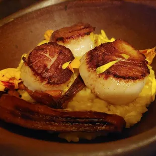 scallops and eggs in a bowl